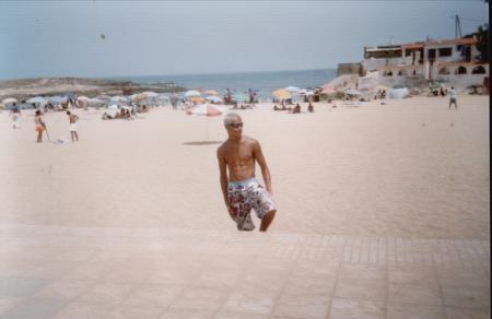 MIMOZA 2005
